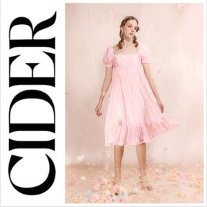 Cider Dress, women’s sz L peach/pink chiffon babydoll midi lined organza EUC